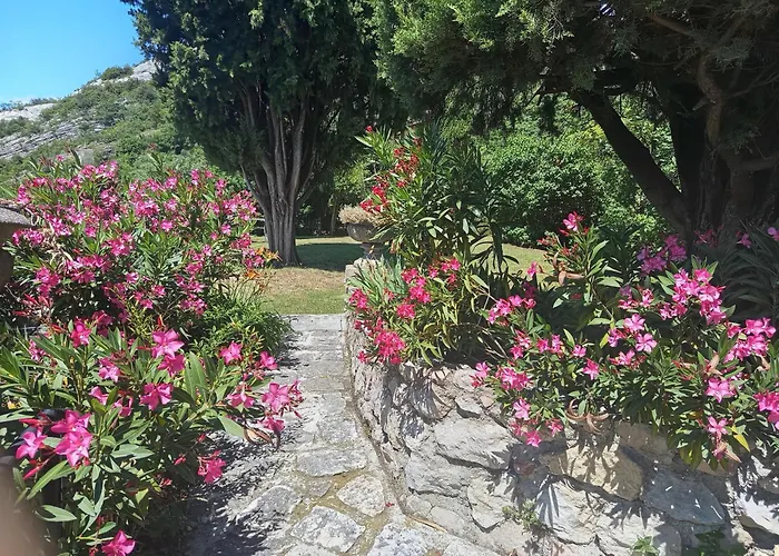 Garden Belvedere B&B